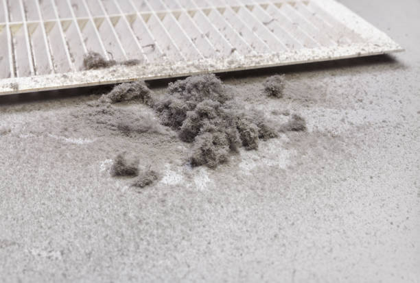 Best HVAC Duct Inspection Services  in Astor, FL