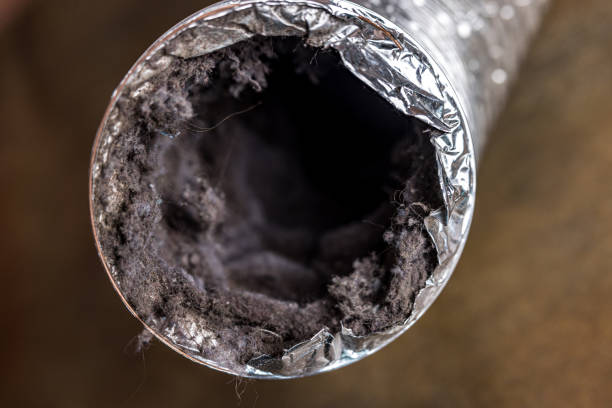 Best Air Duct Cleaning Near Me in Astor, FL